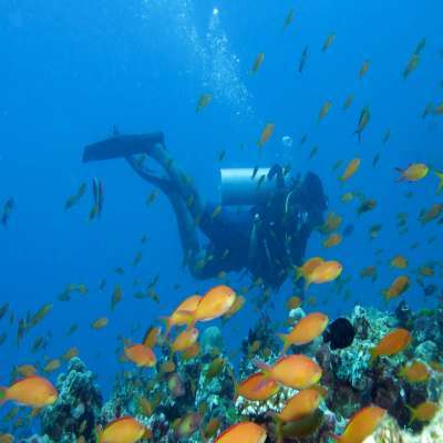 Maldives Travel Plan